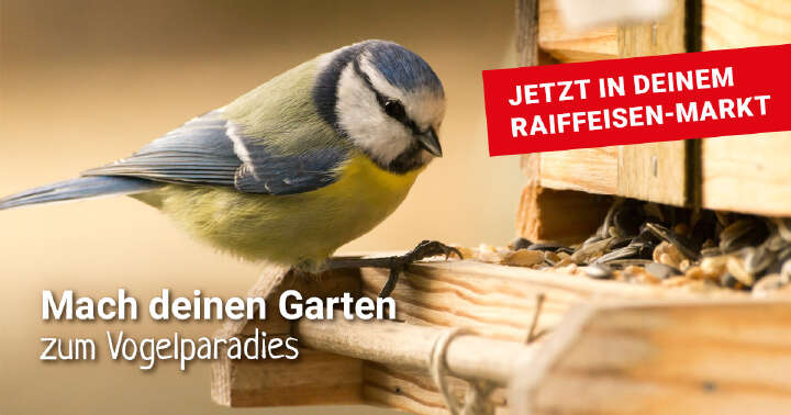 FB Post Mach deinen Garten zum Vogelparadies B 1200x630